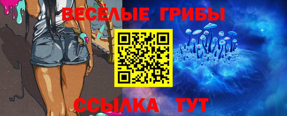 Бор  Псилоцибиновые грибы ЛСД  Вход с VPN 